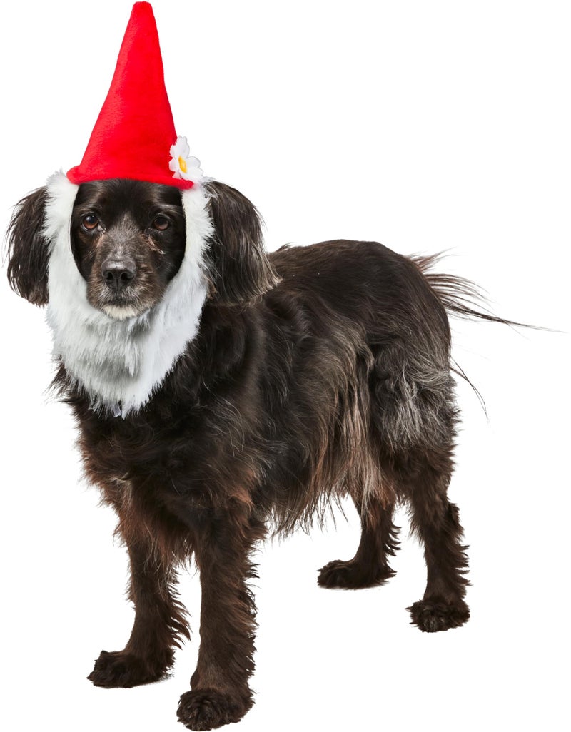 Rubies Garden Gnome Pet Hat with Beard for Dogs or Cats, Medium/Large - Image 2